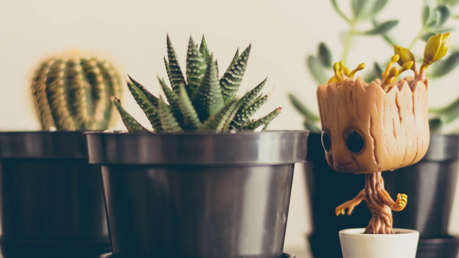 How to Organize a Payroll Desk for Timesheets, Corrections, and Approval Cutoffs