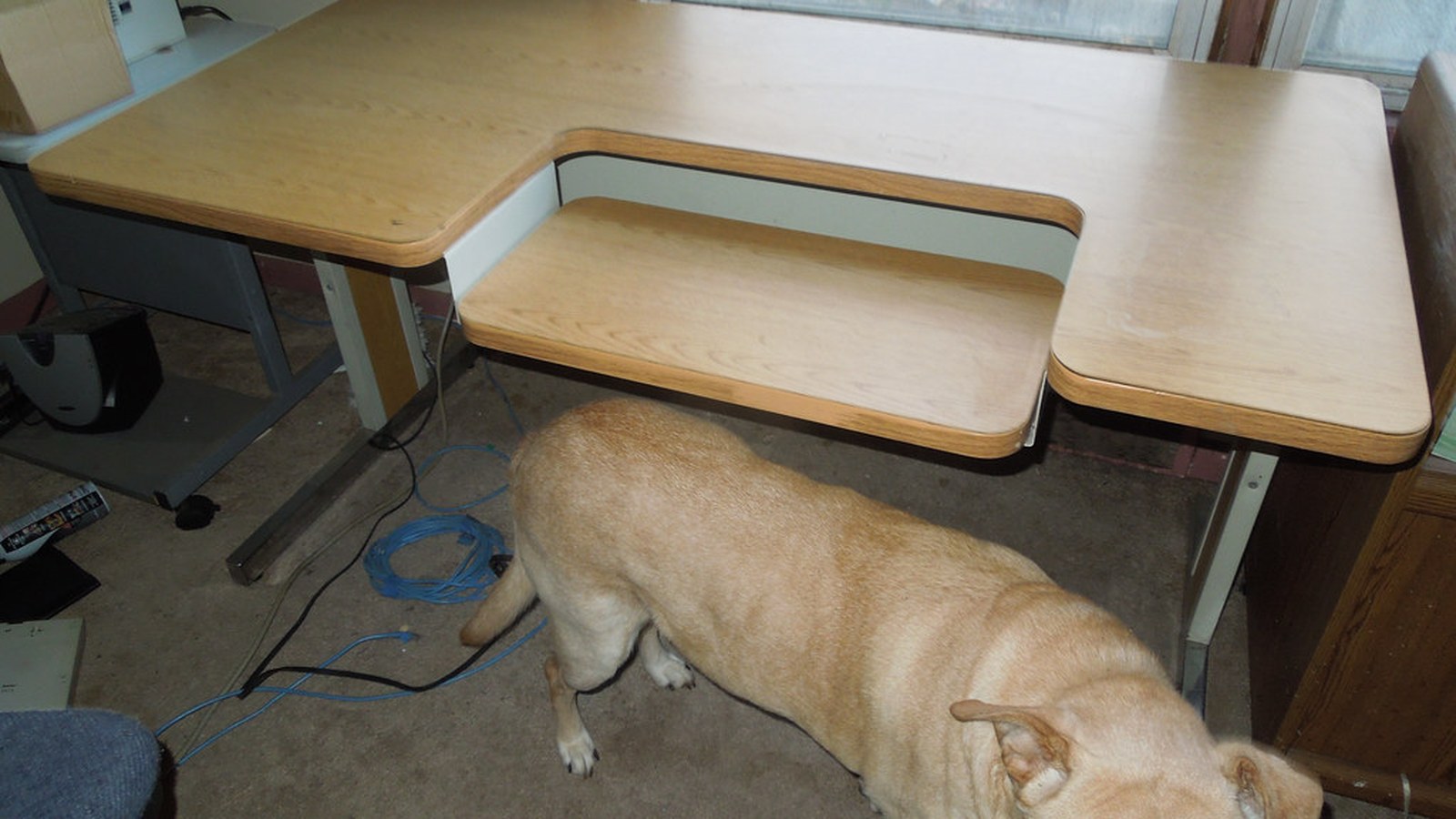 How to Organize Your Workspace When You Have ADHD and Need Things Visible